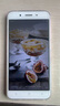 vivo Y66 智能安卓手机 备用机 工作机 老人机 学生网课二手手机 玫瑰金 3GB+32GB 9成新 实拍图