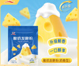 川秀酸奶发酵菌（奶酪型）家用自制酸奶发酵粉发酵剂10g 实拍图
