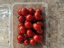 新鲜采摘圣女果樱桃小番茄蔬菜 带箱1斤精选果 实拍图