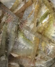鲜活大海白虾300g（约12-18只） 实拍图