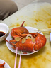 鲜京采 鲜活波士顿龙虾 净重650-750g/只 保鲜不保活 中秋海鲜源头直发 实拍图