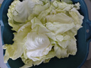 山东新鲜甘蓝包菜卷心菜圆白菜新鲜嫩绿莲花白现摘现发早餐减脂 新鲜包菜 1.5-2斤 人工挑拣 实拍图