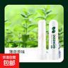 【限时特惠】开车防困鼻吸式提神棒学生熬夜上课打瞌睡清凉油 1支薄荷原味【绿色】 实拍图