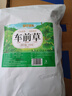 修年堂 车前草250g（5g*50包）干货车轮菜牛舌草养生茶饮中药材原料 实拍图