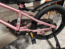 途锐达超轻儿童自行车3-6-8岁女童宝宝脚踏车小女孩骑行单车16寸蜂鸟粉 实拍图