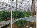 贝德美蓝甘菊儿童洗发水护发素 3-4-6-12岁氨基酸无硅油男女孩520ml套装 实拍图
