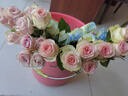 【玫瑰花】特价云南鲜花直发节日鲜花礼物花束水养插花七夕礼物 粉玫瑰10枝 实拍图