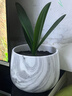 花盆绿植盆栽水墨大理石纹陶瓷花盆客厅君子兰虎皮蝴蝶兰植物花盆 16*18*13cm 实拍图