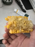 京鲜生甘肃水果玉米段2斤 真空甜玉米棒低脂代餐免煮 开袋即食 源头直发 实拍图