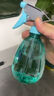 喷壶浇花浇水喷雾器气压式喷水壶家用园艺养花500ml 南瓜喷壶透粉【2个装】 实拍图