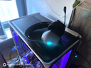 外星人（Alienware）AW725H【京东独家】 蓝牙无线游戏电竞耳机适配三角洲行动头戴式耳麦三模连接智能降噪长续航 黑色 实拍图