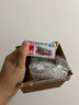 多美（TAKARA TOMY）消防救援系列 日野云梯消防车108号 合金车 生日礼物 男孩玩具 实拍图