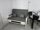 沙发床折叠两用2025新款客厅单人阳台多功能床小户型网红款伸缩床 [可储物]灰色猫爪可储物 总宽1.28m米+床垫（海绵） 实拍图