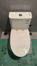 九牧（JOMOO）11173-2-1/31KD-3大力神家用马桶虹吸抗菌节水洁具305坑距 实拍图