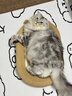 POPOCOLA剑麻猫抓板耐磨不掉屑猫窝一体猫爪板耐抓藤编猫咪超大号猫抓盆盘 实拍图