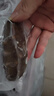 久年大连即食海参1斤8-12只辽刺参京东自营 固形物超85% 生鲜海鲜盒装 实拍图