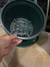 花盆绿植盆栽加厚塑料简约多肉小盆阳台客厅月季玫瑰大号家用花盆 矮款5加仑(口径25cm)2个盆 配套托盘 实拍图