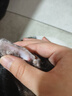 皇家猫粮挑嘴成猫粮全价营养成猫猫粮通用粮 送猫砂罐头 EF38【肠道口感香味三合一】20kg 实拍图