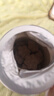 朗迪钙片儿童钙240片4-17岁维生素d青少年补钙铁锌巧克力咀嚼片 实拍图