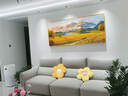 水云岚纯手绘油画定制客厅装饰画梵高沙发背景画高级感轻奢大气风景挂画 【丰收-A款】纯手绘现作 【210X90cm】适合2.9-3.3米沙发 精美实木框 实拍图