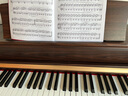 探律（TANLV）钢琴电钢琴88键重锤专业成人初学者幼师儿童家用立式数码电子钢琴 T03胡桃棕-大高箱-纯钢全重锤款-双人凳 实拍图