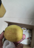 京鲜生 新疆库尔勒香梨 净重5斤 一级 单果100g-120g  生鲜水果 实拍图
