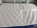 南极人（NanJiren）床垫床褥泰国抗菌乳胶床垫子1.5x2米立体加厚可折叠榻榻米垫子 实拍图