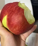 山东蒙阴金秋红蜜桃红桃甜新鲜毛桃应季水果现摘桃子多汁正宗昕 尝鲜2粒装 单果100g起 实拍图