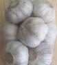 紫白皮蒜水果大蒜超市即食生鲜蔬菜大蒜 特价带箱 1斤 单果3.5-5cm 实拍图