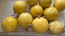 海南钦蜜9号黄金百香果启鸿 新鲜水果纯甜 如蜜 净重1斤（45-60g） 实拍图
