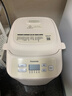 松下（Panasonic）面包机 家用烤面包机 揉面和面机可预约魔法小白桶SD-PN100 实拍图
