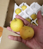 樱慕晴【JD地标认证】正宗辽宁鞍山南果梨东北特产南国梨香水梨新鲜水果 【普装特大果黄梨】约20枚 4.5斤 实拍图