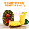 都乐Dole 菲律宾无冠凤梨 巨无霸1只净重2.6斤+  酸甜可口 包邮 水果 实拍图