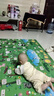 君乐宝(JUNLEBAO)至臻 1段婴儿配方奶粉（0-6月龄）800克  实拍图
