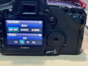大拿闪修 【佳能 尼康 索尼 徕卡 富士各大品牌均可检测】单反相机检测 维修 相机检测 晒单实拍图