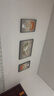 Sixpoetry 客厅装饰画现代简约沙发背景墙壁画轻奢三联晶瓷画大气高档挂画 福禄生花（铝合金外框） 晶瓷画左右40*60+中间80*60亮面 实拍图