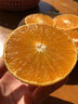 山姆大叔四川爱媛38号果冻橙【多地次日达】新鲜水果冰糖橘柑橘水果礼盒装 【黄金酸甜比】15A老树果王｜单果80-90mm 5斤装【80%选择-超值推荐】净4.5 实拍图