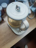 小熊（Bear）养生壶 1.5L煮茶壶煮茶器 玻璃花茶壶 316不锈钢恒温水壶烧水壶电热水壶 YSH-E15M1 实拍图