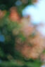 松下70-300mm 全画幅微单相机远摄变焦镜头（Panasonic） (S-R70300）L卡口 风光 运动 体育 旅行 实拍图