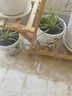 裕轩堂花盆陶瓷家用吊兰蝴蝶兰绿萝带托盘大号个性阳台简约多肉室内套装 梅兰竹菊（四个14厘米） 中等 实拍图