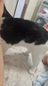派迪诺（PAIDINUO）宠物猫咪营养排毛化毛套装猫用维生素片200片+猫草片300片 实拍图