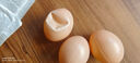 仿真鸡蛋假鸡蛋引母鸡生蛋假蛋不会碎绘画DIY仿真鸡蛋手工玩偶 【5枚装】仿真假鸡蛋 实拍图