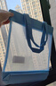 百利文BX1011蓝色手提袋拎书袋学生美术袋作业补习袋单肩挎包网纱手提包小清新夏季手拎包 实拍图
