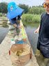 尚官一次性折叠盆便携式旅游洗衣服神器洗脸盆水桶旅行水盆洗衣袋泡脚 卡其色【2个装】大号12L 实拍图