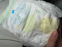佳婴氧气森林试用装超薄透气纸尿裤婴儿尿不湿拉拉裤 一体式拉拉裤L码试用装4片 实拍图