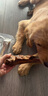 蒙贝狗零食狗狗磨牙棒 香酥牛棒骨 磨牙洁齿除垢 适用成犬大型犬 大号 实拍图