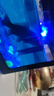 桌面鱼缸小型家用积木缸生态缸水族箱斗鱼缸带小夜灯氛围灯摆件 七彩防水蜡烛灯【两个装】 实拍图