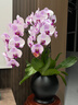 双枪乌檀木擀面板菜板实木家用面板揉面和面板案板切菜板60*40*2cm  实拍图