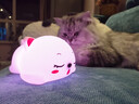 夕风小夜灯卧室睡眠灯床头灯硅胶拍拍生日礼物女生女士小众高级感氛围 实拍图