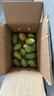 广西芒果应季芒果产地直发半黄微花皮发货（全国多仓发货） 带箱2斤装【单果60g+】 实拍图